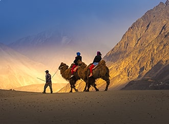 Ladakh Tours